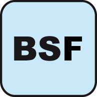 Narzynki maszynowe z gwintem calowym drobnozwojnym Withworth`a BSF wg. BS84:1956 HSS